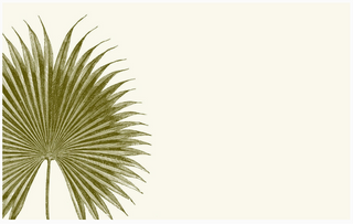 Palm Place Card