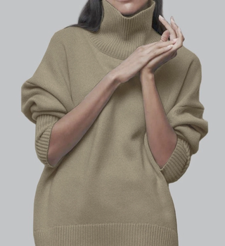 Solid Basic Turtleneck Knit Sweater