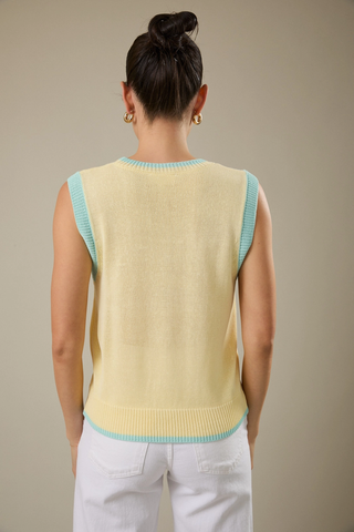 Round Neck Fish Sweater Vest