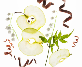 Power Mist Hydrating Hand Sanitizer