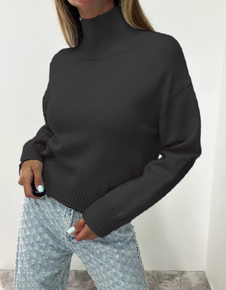 Solid Basic Turtleneck Knit Sweater