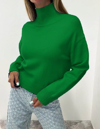 Solid Basic Turtleneck Knit Sweater
