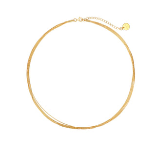 Tristan Choker - Gold
