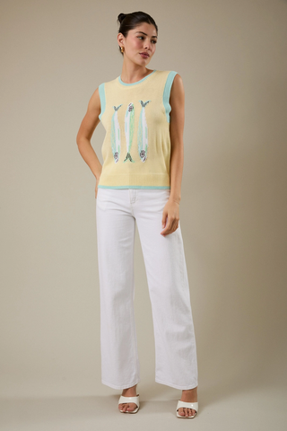 Round Neck Fish Sweater Vest