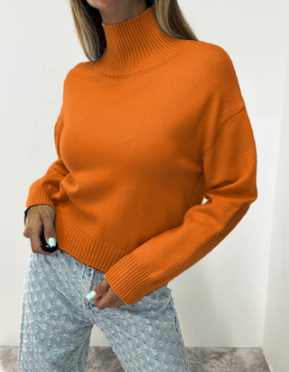 Solid Basic Turtleneck Knit Sweater